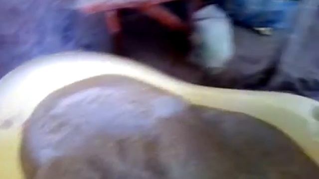 Приготовление зерно-смеси для гусей в домашних условиях.