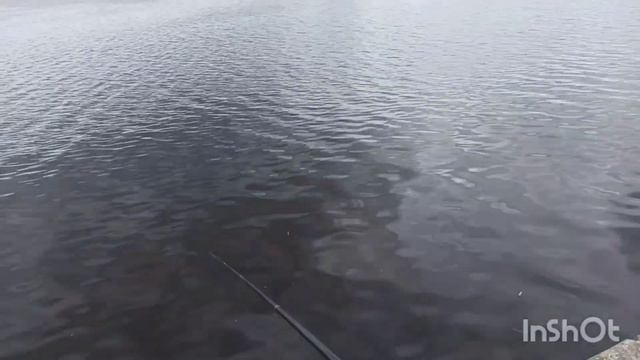 открытие сезона удочки и фидера. смотреть онлайн