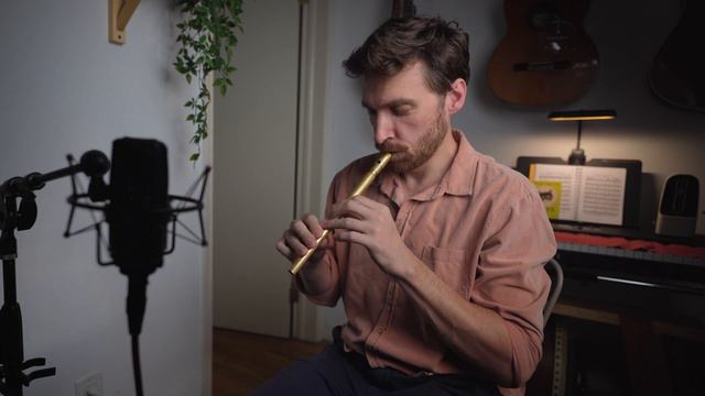 Irish Jigs on Tin Whistle and Guitar: Banish Misfortune / The Rolling Waves / The Blarney Pilgrim смотреть онлайн
