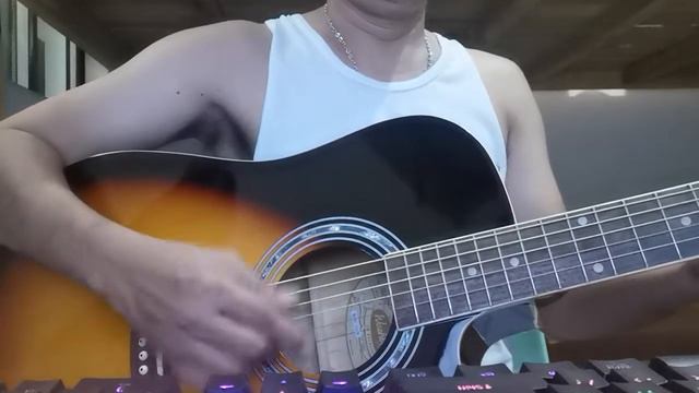 Washburn WA90C Sound Test смотреть онлайн