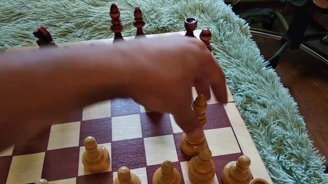 ШАХМАТЫ: ШАХ, МАТ, ПАТ! смотреть онлайн