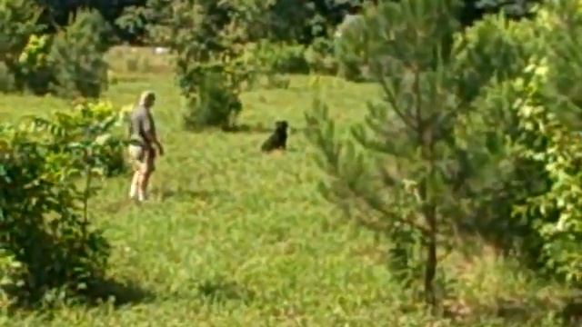 Otter 2 смотреть онлайн