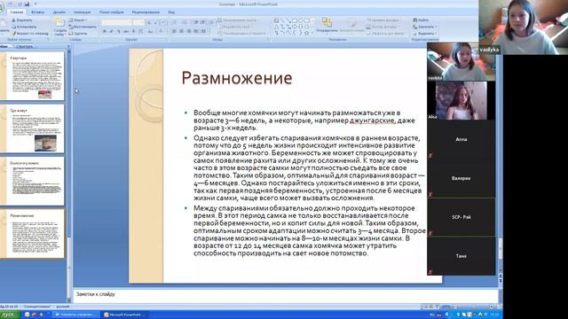 Васька 11 годиков с планеты Земля Все о хомячках смотреть онлайн