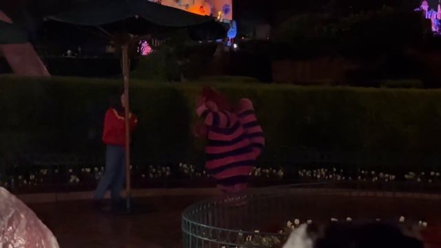UNE EXCELLENTE SOIRÉE PASS ANNUEL, GÂCHÉ PAR LA PLUIE (TRÉSOR NIGHT) смотреть онлайн