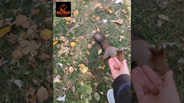 30.10.23 Мамаев Курган, белки