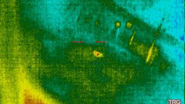 Flir PTS 233 Boar Kill смотреть онлайн