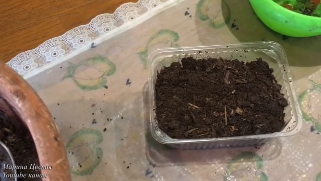 ПОСЕВ ПЕТУНИИ НА ГИДРОГЕЛЬ !!!~ все мелкопыльные. смотреть онлайн