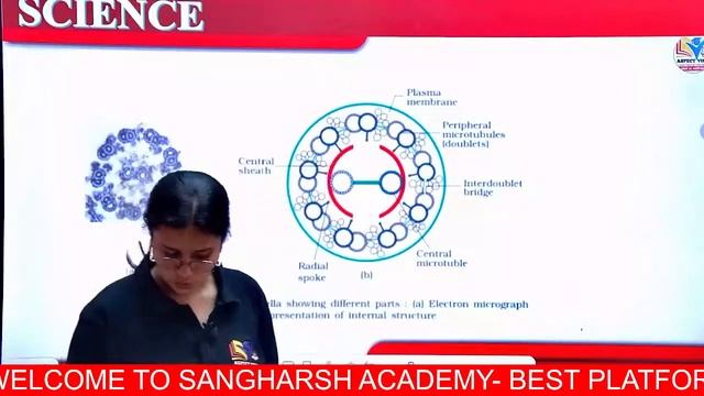 BSC NURSING 2024 LIVE CLASS || BRAHMASTRA SERIES || BIOLOGY || CELL LECTURE NO-05 || SRISTY MAM смотреть онлайн