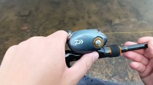 Daiwa Zillion 1016 обзор
