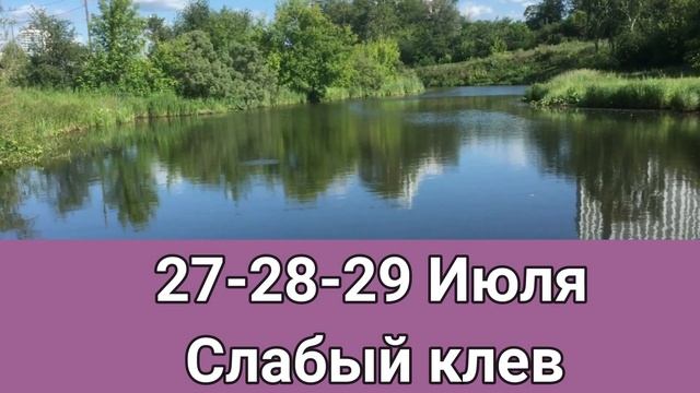 Прогноз клева рыбы на эту неделю с 25 по31 Июля Календарь рыбака на июль Календарь клева рыбы 2022 смотреть онлайн