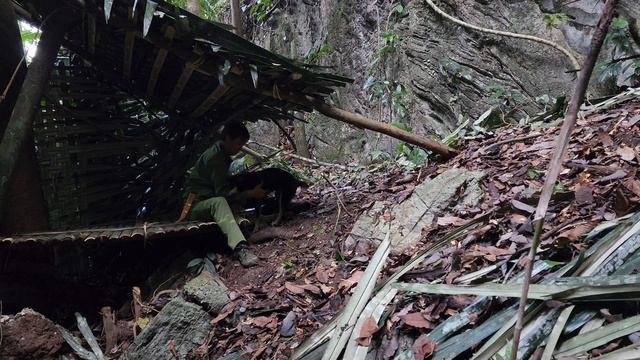 Lost in the deep forest - Making shelter under a giant tree - Looking for food, king kong amazon смотреть онлайн