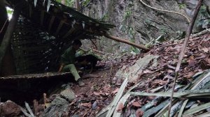 Lost in the deep forest - Making shelter under a giant tree - Looking for food, king kong amazon