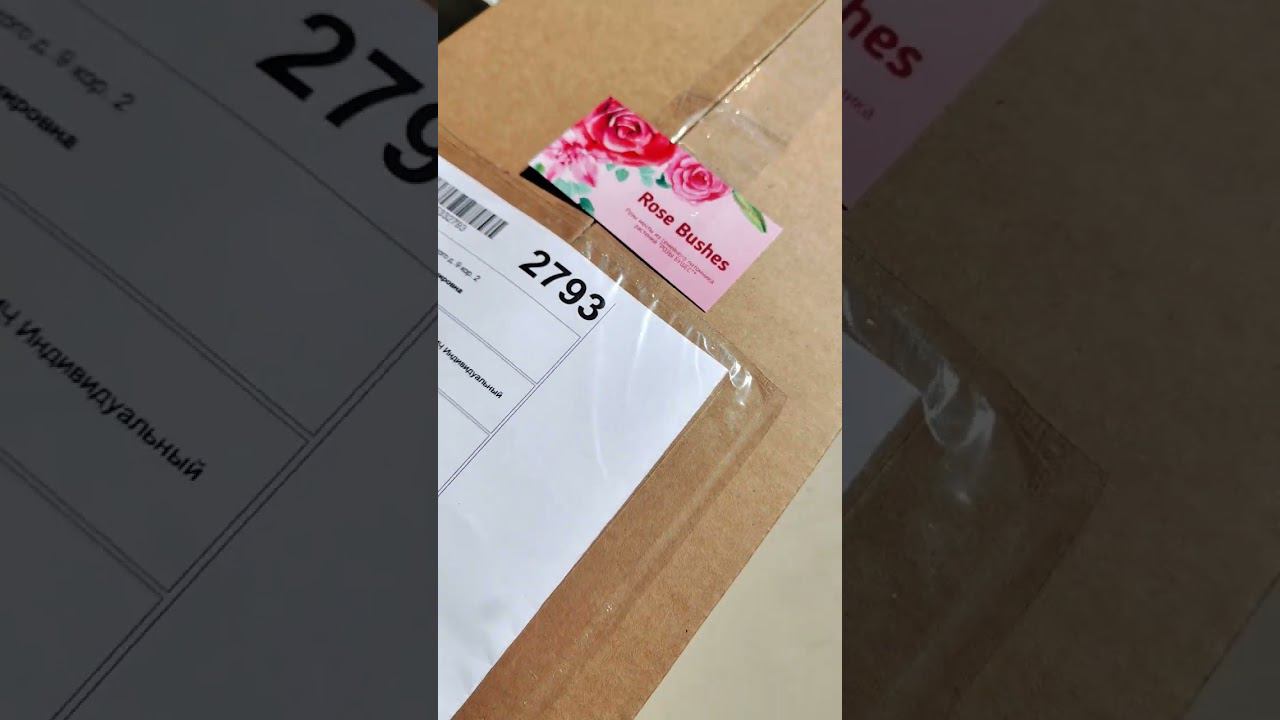 24 августа 2023 г. смотреть онлайн