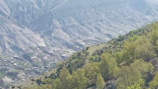 Цудахарские сёла