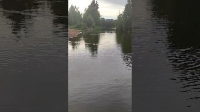 У озера после дождя.Санкт-Петербург.Приморский район. смотреть онлайн