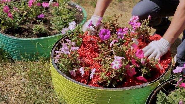 Щепа декоративная сосновая, красная смотреть онлайн