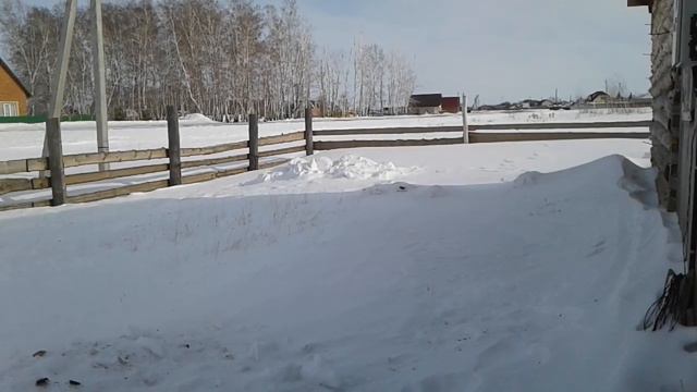 24.02.2022 про коз и кур и Россия спасает Л.Днр смотреть онлайн