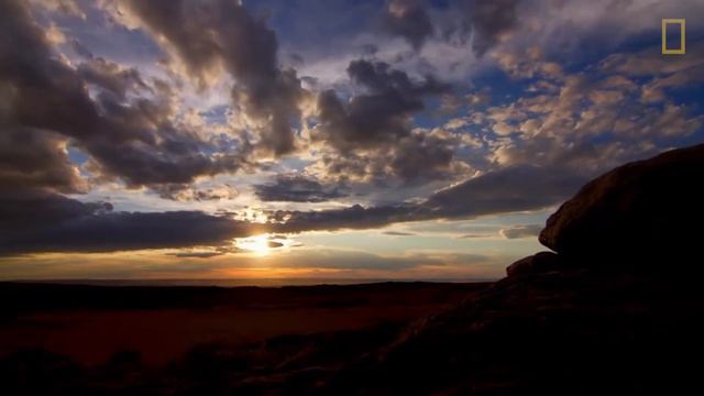 Día Mundial de la Vida Silvestre | NATIONAL GEOGRAPHIC ESPAÑA смотреть онлайн
