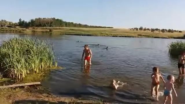 На пруду смотреть онлайн