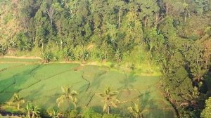 Музыка для стояния на гвоздях