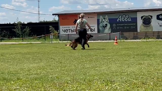 9.  выражено/перв ДАЙМАНТЕН ШЛОСС ФАНТА 2 (Ural V. Frankengold – Даймантен Шлосс Риска) 2ч