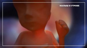 Чем Занимается Ребенок, Пока Находится у Мамы в Животе…