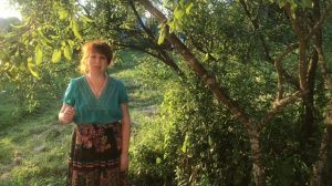 Онлайн разучивание русской народной песни «Черный ворон»