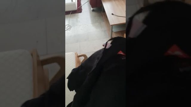 Одежда электрика в Германии смотреть онлайн