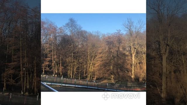 Центральный парк Калининград The Central Park of Kaliningrad смотреть онлайн