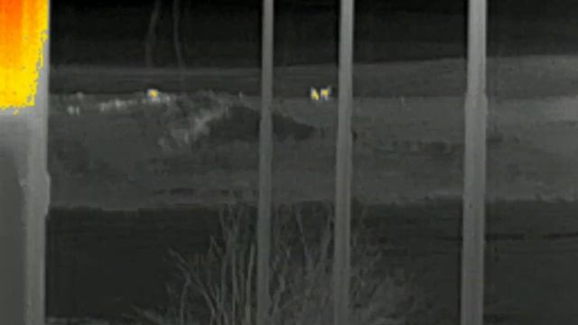 InfiRay T2 Pro, Plug In Thermal Camera Part 1