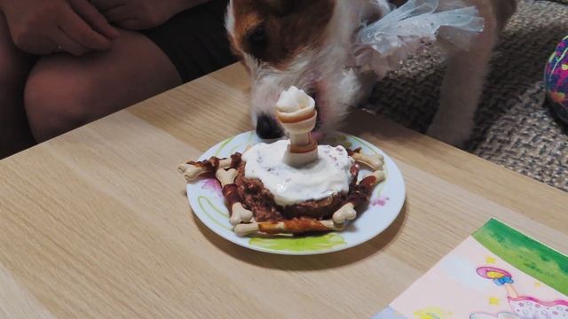 А мне годик! День рождения у Джек Рассел терьера. смотреть онлайн