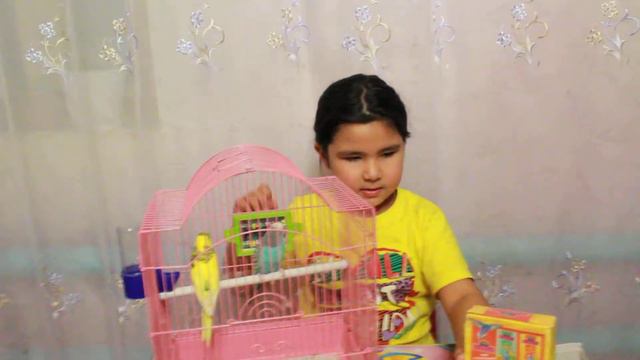 Мои попугаи Маша и Кеша / 2 часть смотреть онлайн