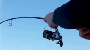 Безынерционная катушка SHIMANO NEW STRADIC 16 CI4+ 4000XG !!! Взгляд изнутри .