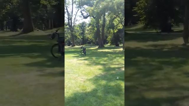 Большая зеркала в Бад-Хомбург смотреть онлайн