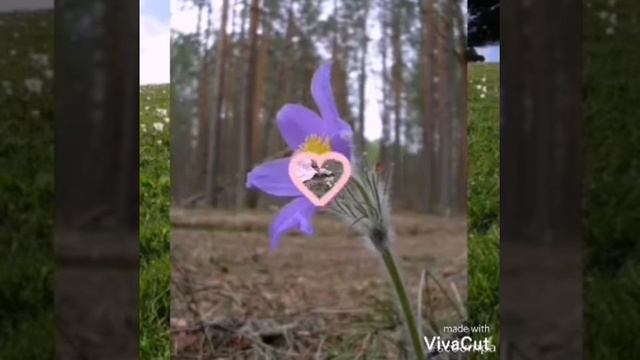 Ньургуһуннар смотреть онлайн