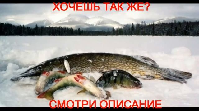клевая рыбалка якутия последнее смотреть онлайн
