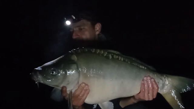 6 ноября 2021 г. закрытие сезона по карпу , рыбалка в Запорожье 2021 смотреть онлайн