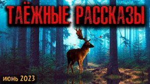 ТАЁЖНЫЕ РАССКАЗЫ | Страшные истории