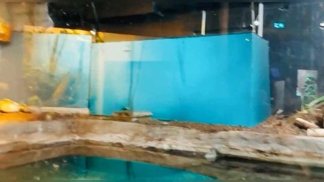 Норвегия ??/ Маленькая экскурсия по городу Берген ?? смотреть онлайн