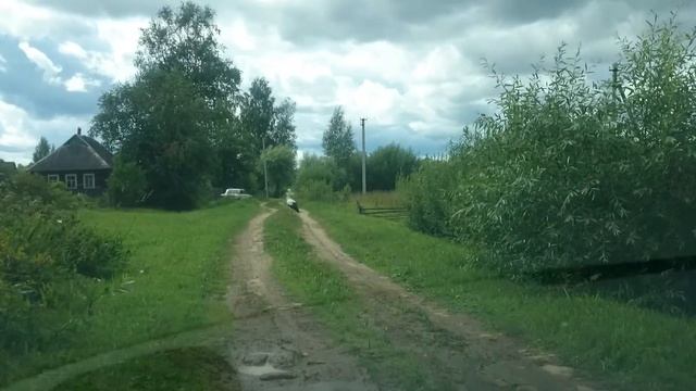 Главная улица деревни Гороховище, Псковская область смотреть онлайн