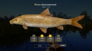 Русская рыбалка 4. Трофей с озера Медвежье.