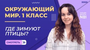 Видеоурок 14. Где зимуют птицы? Окружающий мир 1 класс