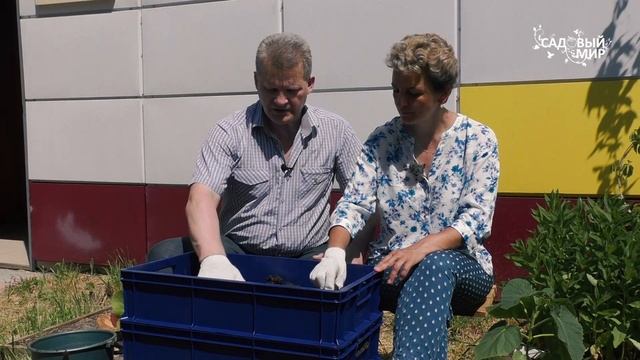 Стройка Хиты