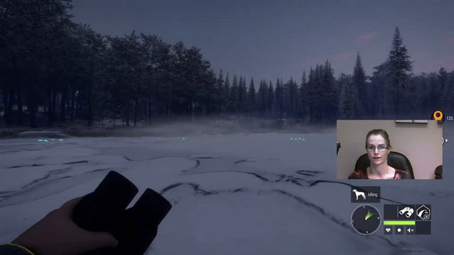The Search for a Diamond Brown Bear & Lynx Continues in MedVed! LIVE with Lady! смотреть онлайн