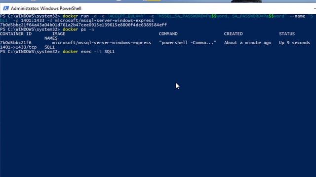 Corriendo una imagen de SQL Server Express en un Contenedor de Docker смотреть онлайн