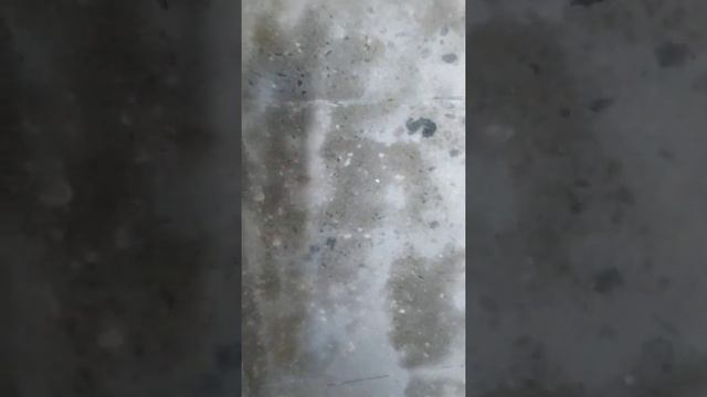 Убрать краску со стен смотреть онлайн