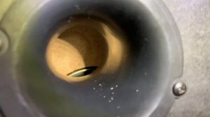 Panasonic SA-AK45 SOUND/BASS Test[4k]