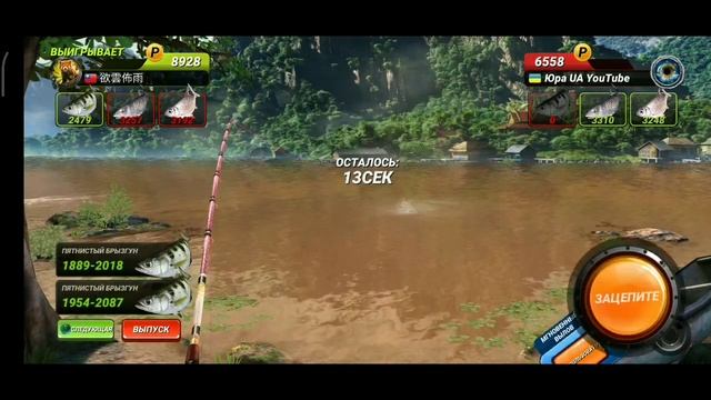 Новая рыба - Пятнистый Брызгун / Большой Турнир / Fishing Clash: Реальная рыбалка смотреть онлайн
