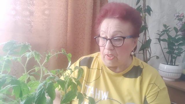 чем подкармливаю рассаду 🍅🍅🍅 смотреть онлайн