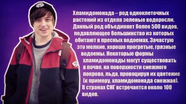 Ивангай когда просят сказать что-то умное) смотреть онлайн